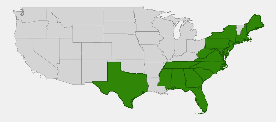 Native range map of Summersweet (Clethra alnifolia) along the eastern coastal plain of the United States