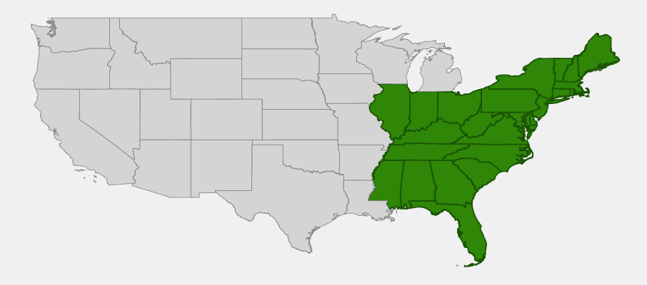 Native range map of Swamp Azalea (Rhododendron viscosum) showing distribution across eastern United States