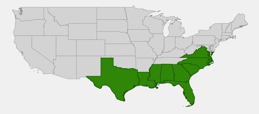 Native range map of Swamp Bay (Persea palustris)
