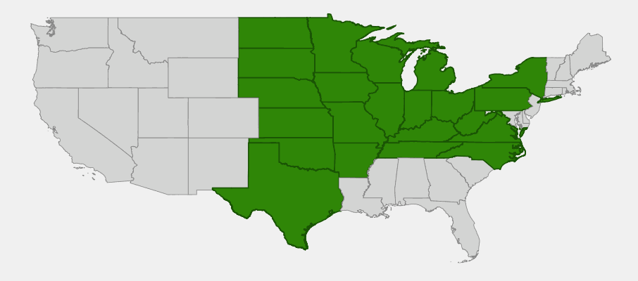 Native range map of Swamp Dogwood (Cornus obliqua) showing distribution across central and eastern United States