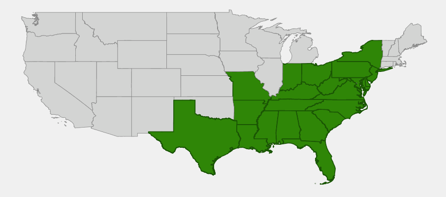 Native range map of Swamp Sunflower (Helianthus angustifolius) showing eastern US distribution