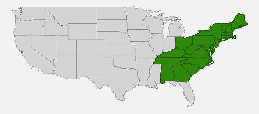 Native range map of Sweet Birch (Betula lenta)