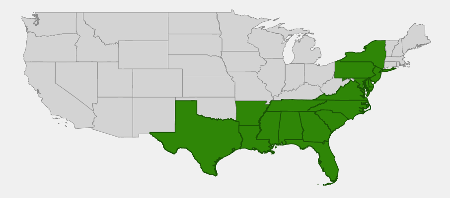 Native range map of Sweet Bay Magnolia (Magnolia virginiana) showing Atlantic and Gulf coastal plain distribution