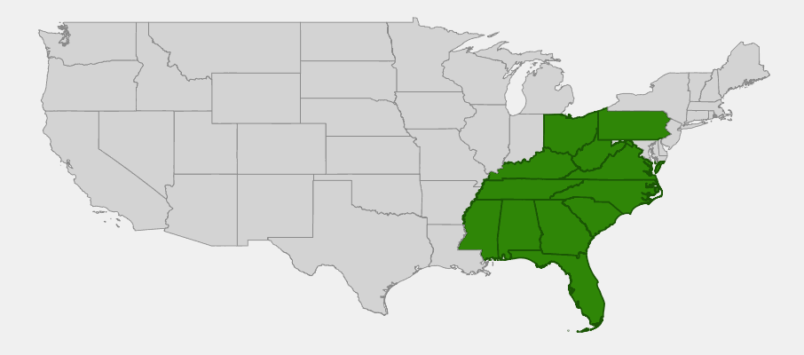 Native range map of Sweetshrub (Calycanthus floridus)