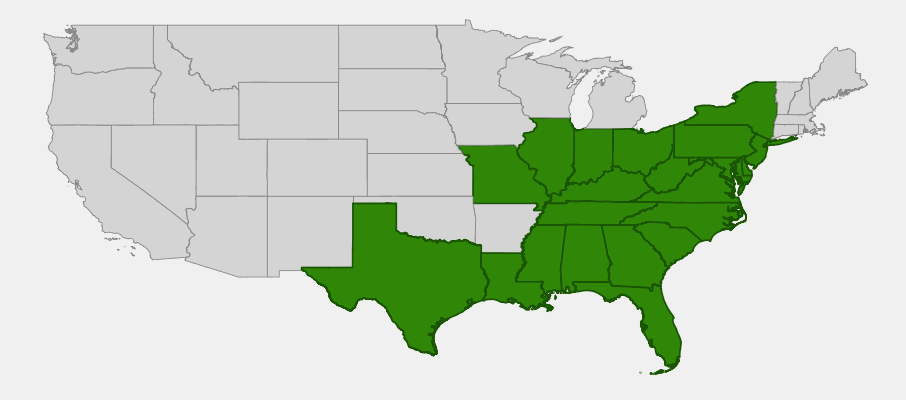 Native range map of Virginia Sweetspire (Itea virginica) showing distribution across the southeastern United States
