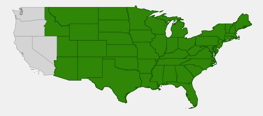 Native range map of Switchgrass (Panicum virgatum) showing distribution across most of continental United States
