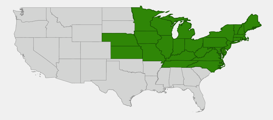 Native range map of Swamp White Oak (Quercus bicolor) showing distribution across northeastern and midwestern United States