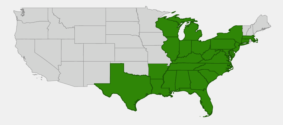Native range map of Tulip Poplar (Liriodendron tulipifera) showing distribution across the eastern United States