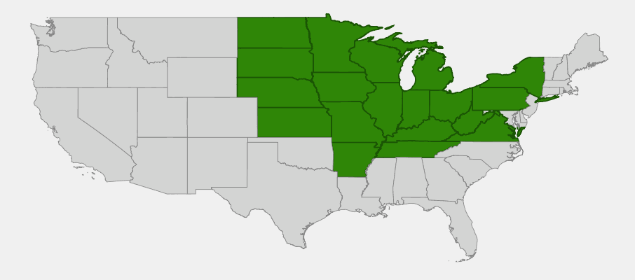 Native range map of Turk's Cap Lily (Lilium michiganense)