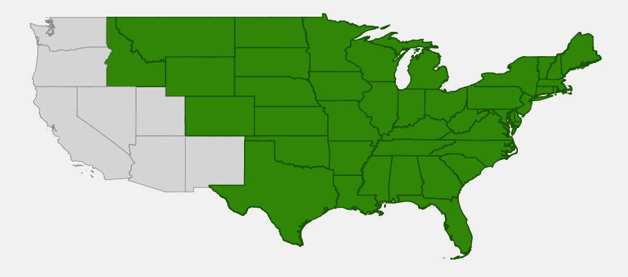 Native range map of Tussock Sedge (Carex stricta) showing distribution across eastern North America
