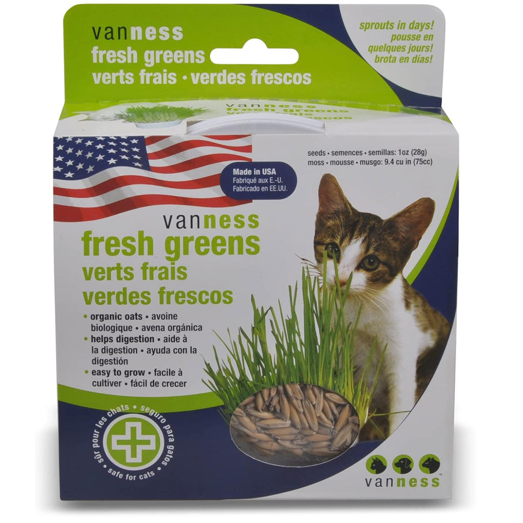 Top 5 Best Cat Grass and Pet-Safe Plant Growing Kits in 2026 - PlantNative.org Van Ness Cat Oat Garden Kit