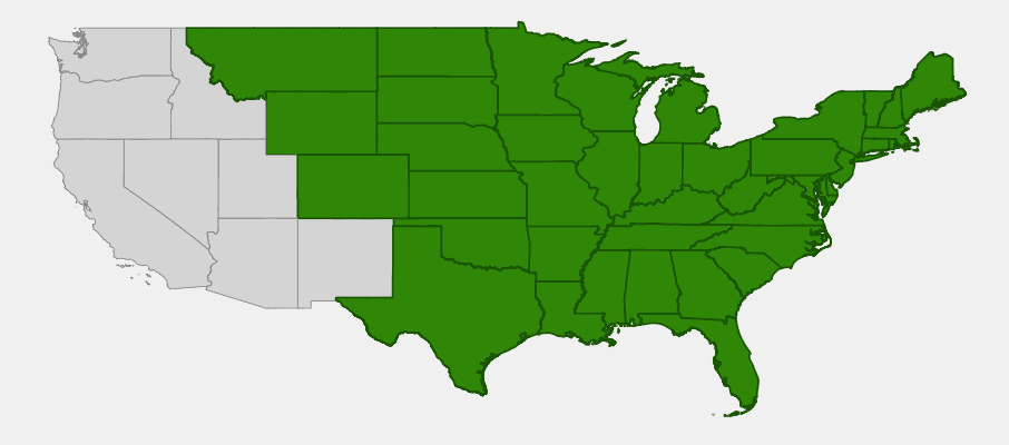 Native range map of Blue Vervain (Verbena hastata)