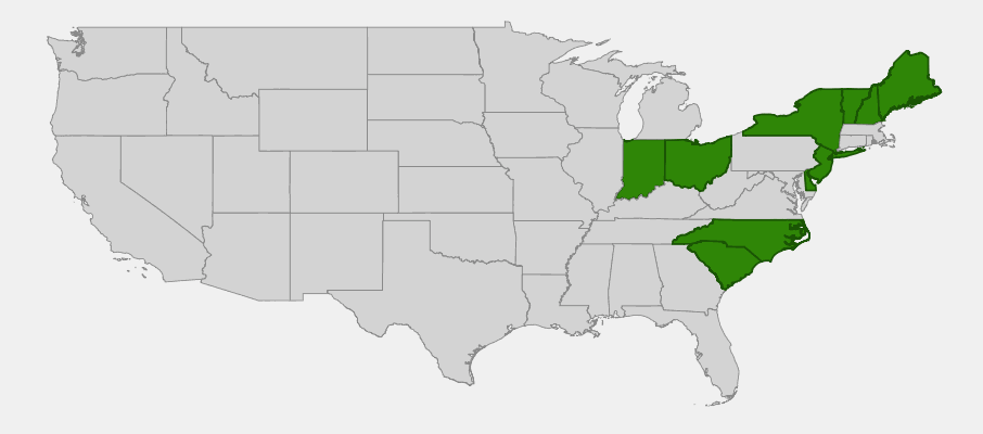 Native range map of Maple-leaf Viburnum (Viburnum acerifolium) showing distribution across eastern North America