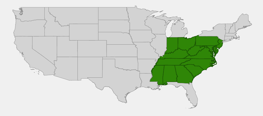 Native range map of Virginia Pine (Pinus virginiana) showing Mid-Atlantic and southeastern United States distribution