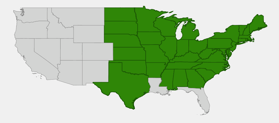 Native range map of Virginia Waterleaf (Hydrophyllum virginianum) showing distribution across eastern North America