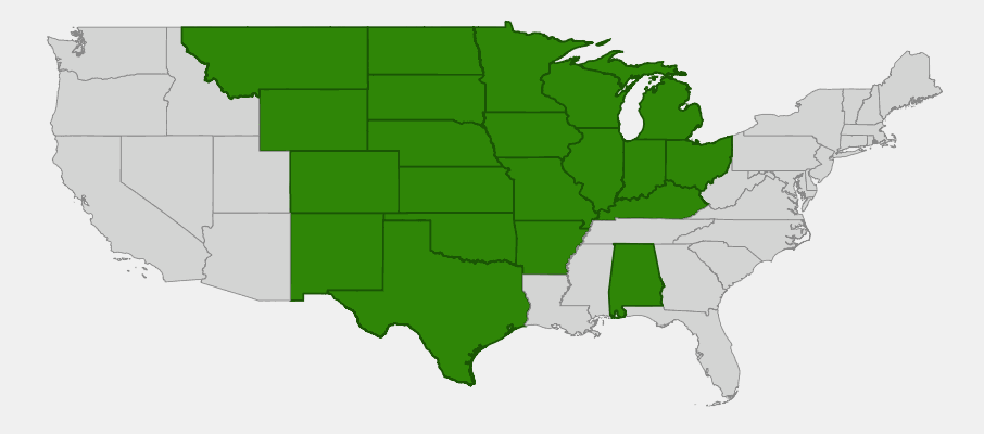 Native range map of White Prairie Clover (Dalea candida)