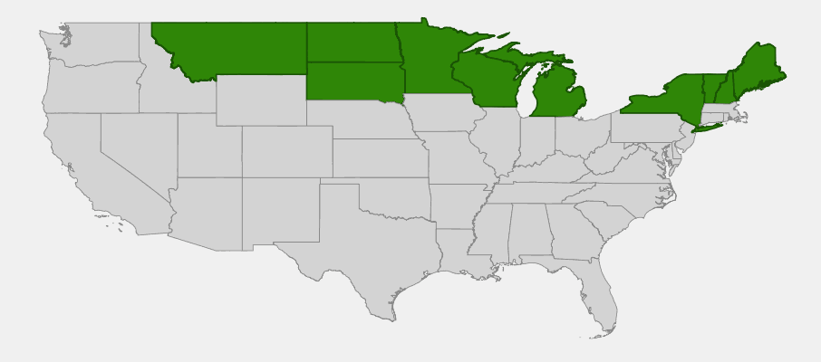Native range map of White Spruce (Picea glauca) showing distribution across northern US states and Alaska
