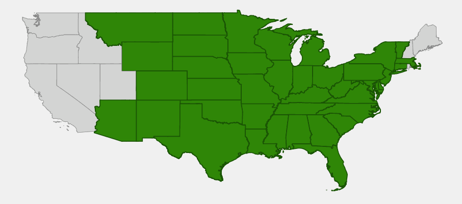 Native range map of Whorled Milkweed (Asclepias verticillata) showing distribution across central and eastern United States