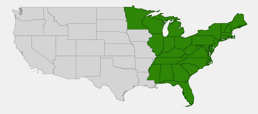 Native range map of Wild Blue Lupine (Lupinus perennis) in eastern North America