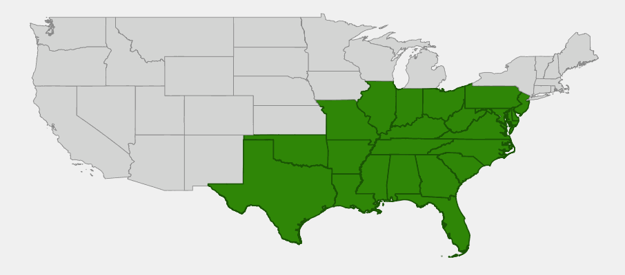 Native range map of Willow Oak (Quercus phellos)