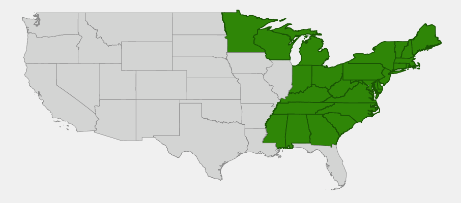 Native range map of Winterberry Holly (Ilex verticillata) showing distribution across much of eastern North America