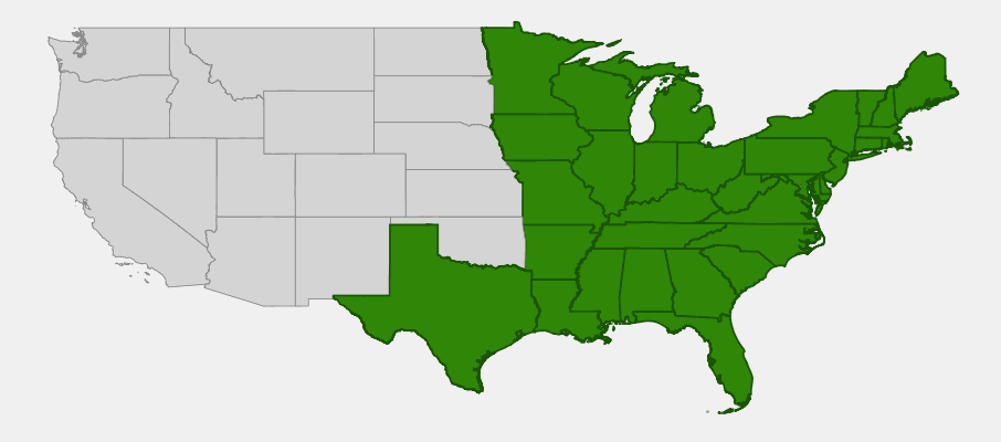 Native range map of Wreath Goldenrod (Solidago caesia) showing distribution across eastern United States