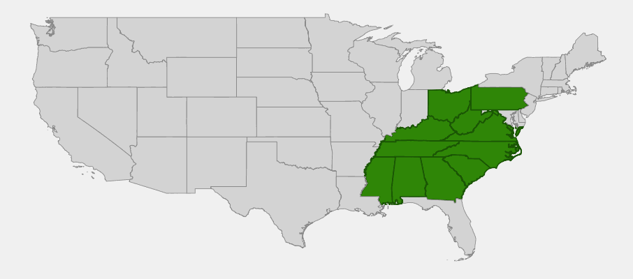 Native range map of Yellow Buckeye (Aesculus flava)