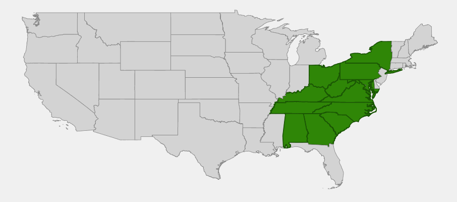 Native range map of Yellow Root (Xanthorhiza simplicissima)