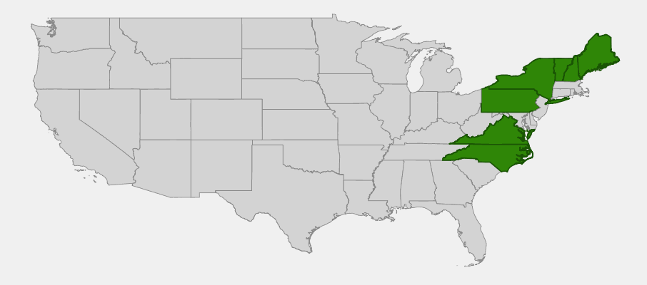 Native range map of Yellow Sedum (Sedum spp.) showing distribution across Alaska and northeastern US