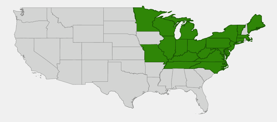 Distribution map of Yellow Water Iris (Iris pseudacorus) showing naturalized range in the Indiana and Ohio region