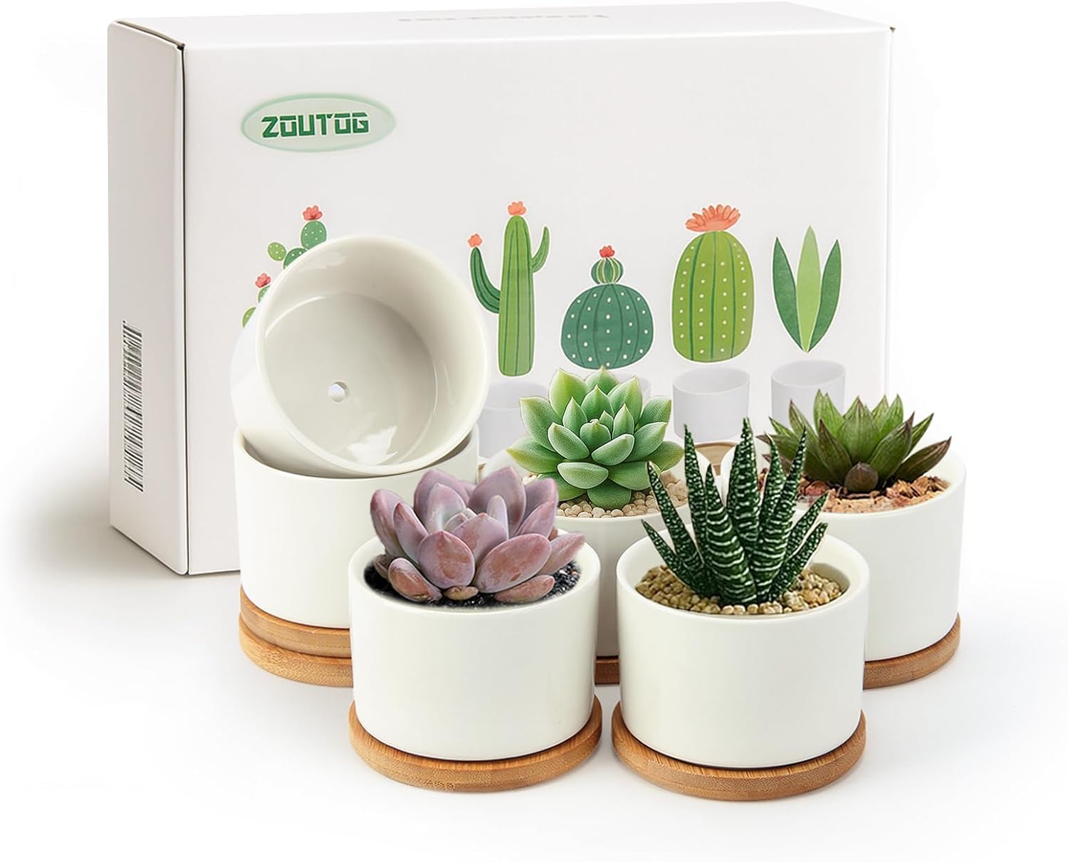 ZOUTOG Succulent Pots 3.1 Inch 6 Pack with Drainage and Tray