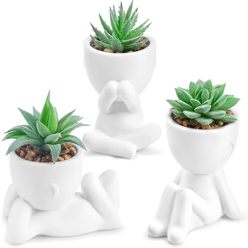Der Rose 3 Pack Fake Plants for Office Desk Accessories Artificial Succulents Plants for Room Bathro
