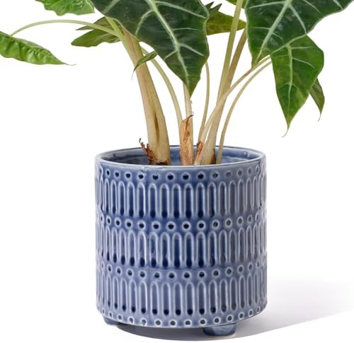 Top 5 Best Ceramic Plant Pots for Modern Home Decor in 2026 - PlantNative.org STHIE 5 Inch Ceramic Planters for Indoor Plants, Blue Cactus Snake Plant Pots with Drainage, Unique