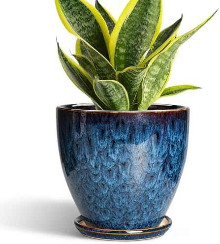 Top 5 Best Ceramic Plant Pots for Modern Home Decor in 2026 - PlantNative.org EPFamily 6 Inch Plant Pot - Ceramic Pots for Plants with Drainage Hole and Saucer, Ceramic Planters