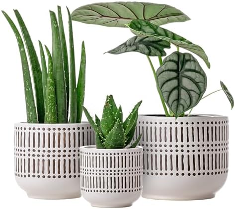 Top 5 Best Ceramic Plant Pots for Modern Home Decor in 2026 - PlantNative.org Docrin 3-Pack Ceramic Planters Set - 6.5