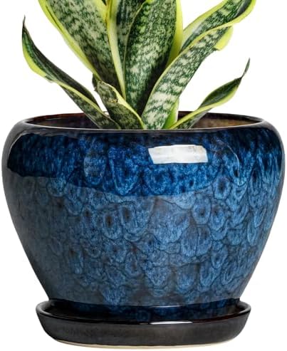 Thirtypot 6 Inch Plant Pot - Ceramic Pots for Plants with Drainage Hole and Saucer, Round Succulent 