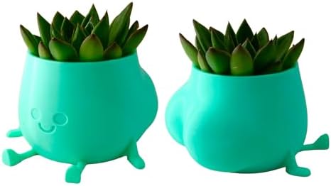 BBL Flower Plant Pot Funny Shaped Figure Planter 3D Print with Drainage 4 Inch Diameter Home Decor I