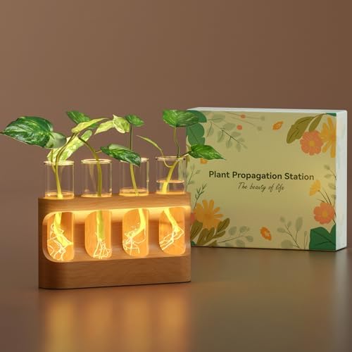 Top 5 Best Plant Propagation Stations for Beginners in 2026 - PlantNative.org Plant Propagation Station with Wooden Stand, Gardening Gifts for Mom Women Plant Lovers, 9-Level Dim