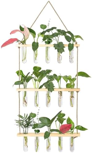 Top 5 Best Plant Propagation Stations for Beginners in 2026 - PlantNative.org XXXFLOWER Wall Hanging Propagation Station with Wooden Stand 5 Glass Test Tubes 3 Tiers Planters Wal