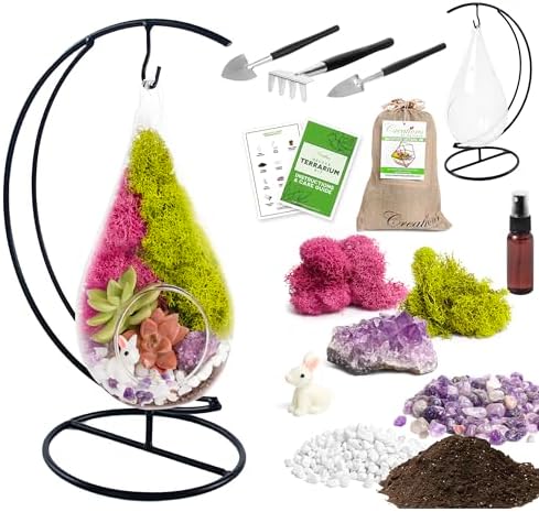 Top 3 Best Plant Terrarium Kits for Desktop Gardens in 2026 - PlantNative.org Creations by Nathalie 7