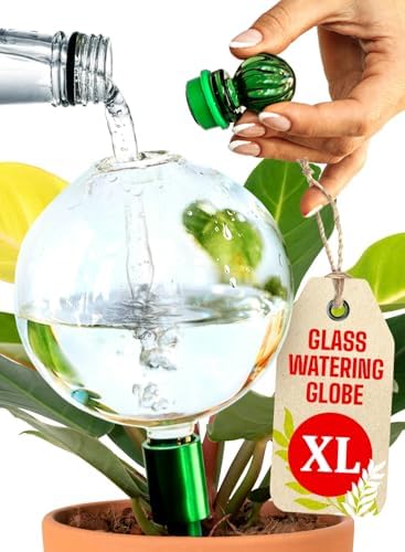 16 Oz Plant Watering Globes for Indoor Plants with Metal Self Watering Planter Insert - Premium XL G