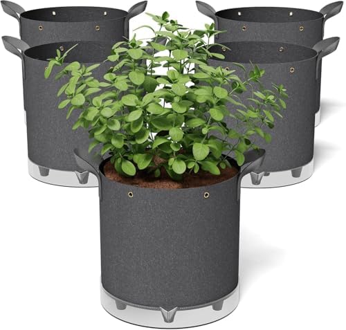 best self watering planters 1 B0FJLKTP97 1