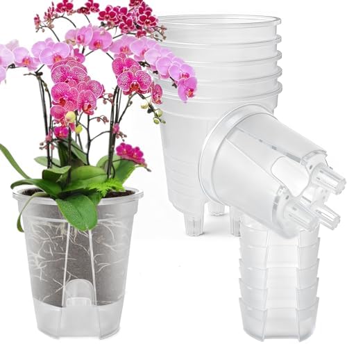 Cdd's Path Large Naked Root Planter Self Watering