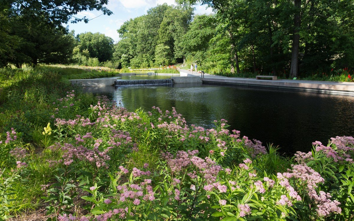 Native Plant Nurseries – Nebraska, Nevada, New Hampshire, New Jersey, New Mexico, New York, North Carolina, North Dakota, Ohio, Oklahoma