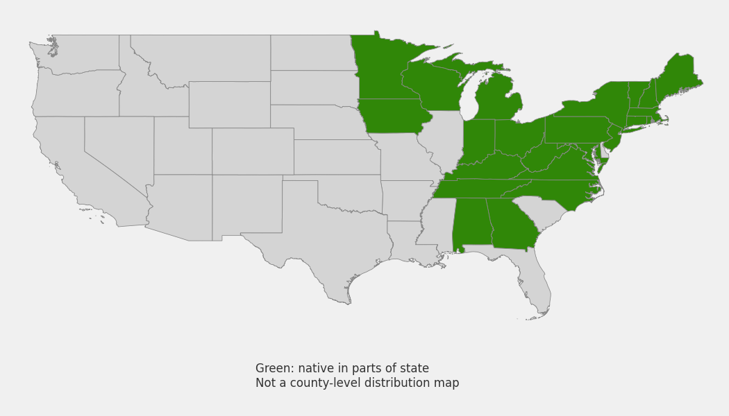 State-level native range of Acer spicatum