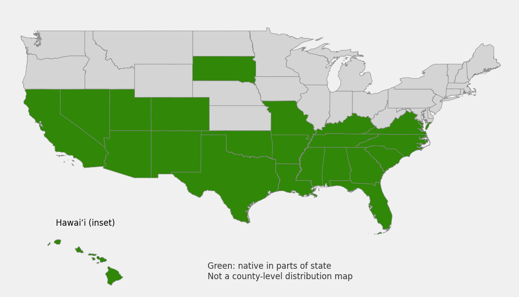 State-level native range of Adiantum capillus-veneris