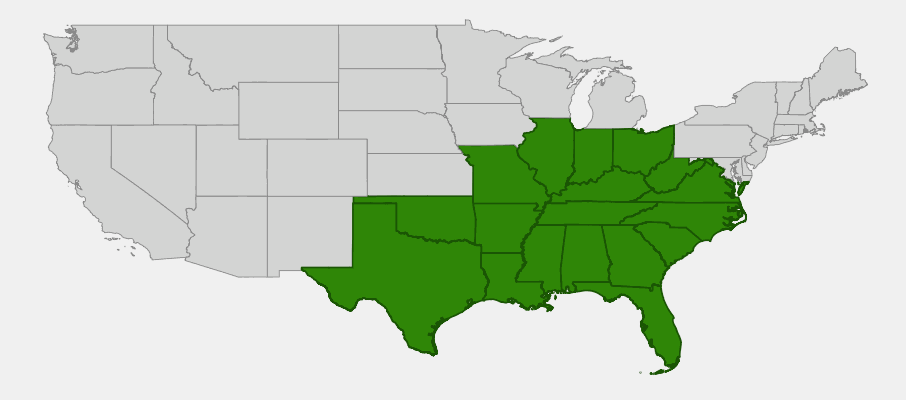 Native U.S. state range of Manfreda virginica; green marks states, not all counties