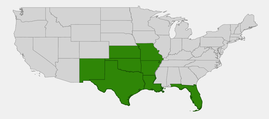 State-level native range of Aphanostephus skirrhobasis