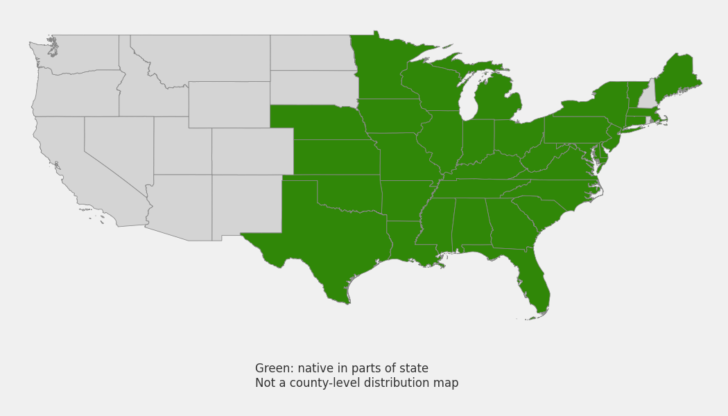 State-level native range of Arisaema dracontium