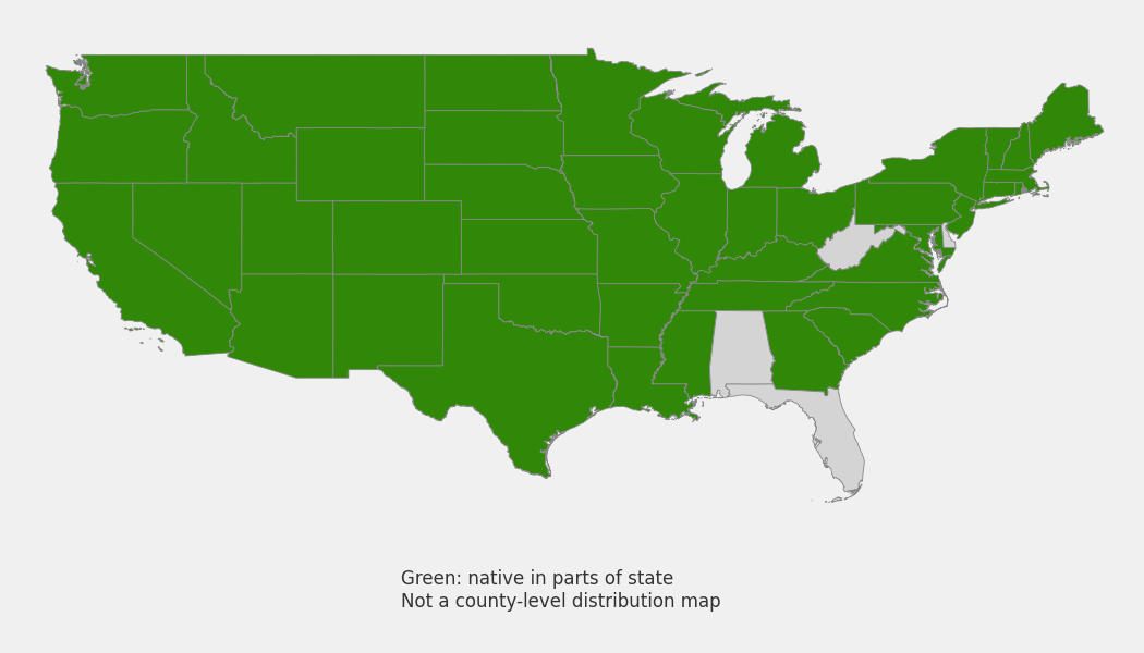 State-level native range of Artemisia ludoviciana